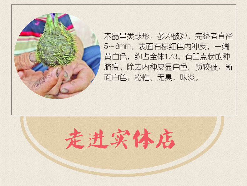 芡实2_04.jpg